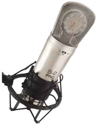 Dual Diaphragm Condenser Microphone